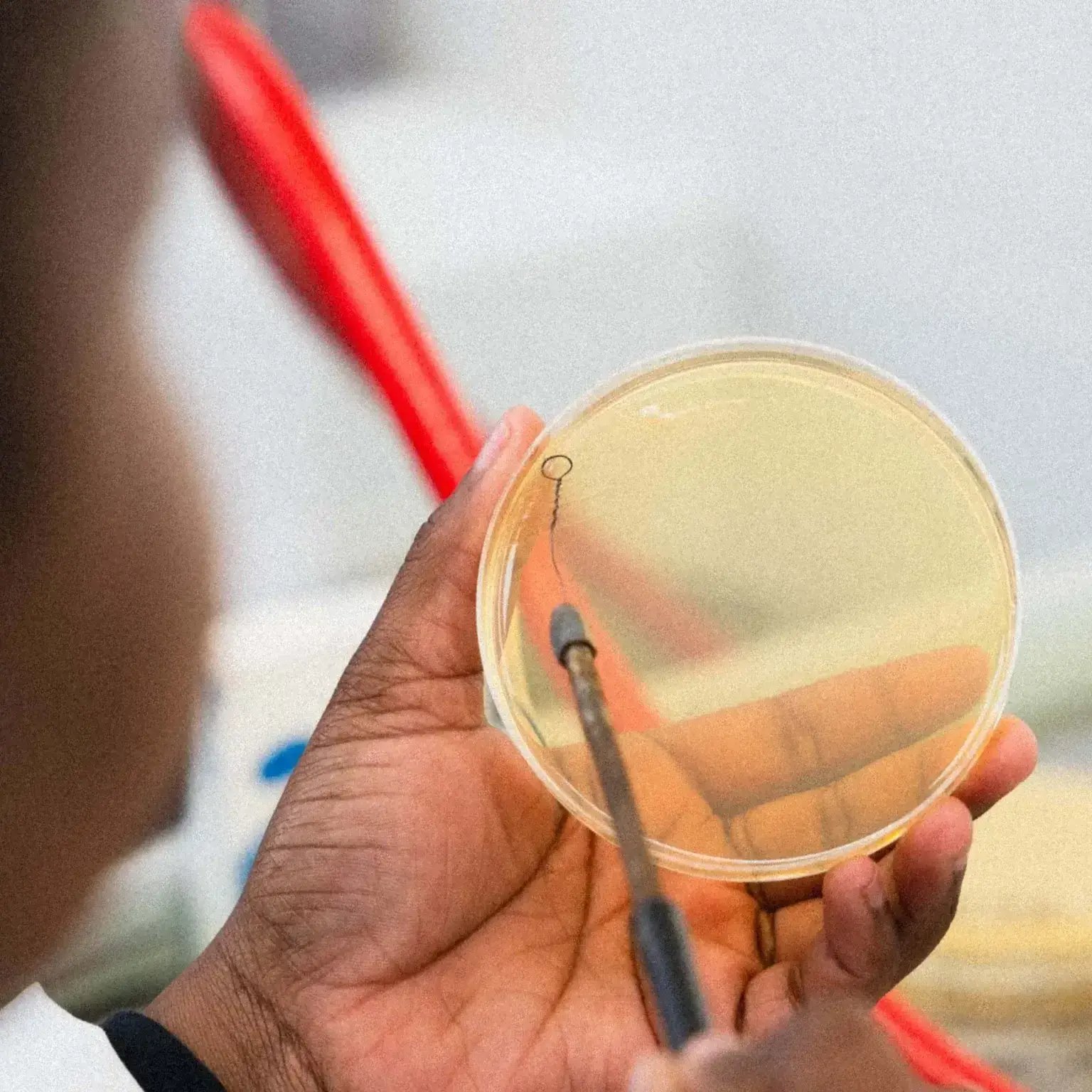 5-Day Microbiome Course