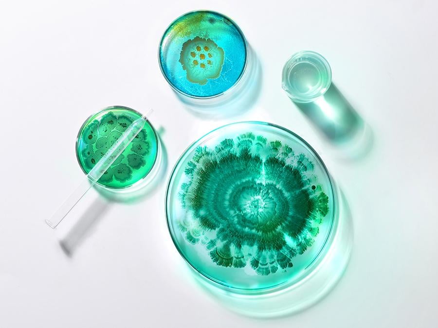 can-you-change-your-microbiome