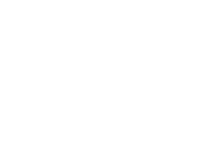 Esse_logo_white_2020