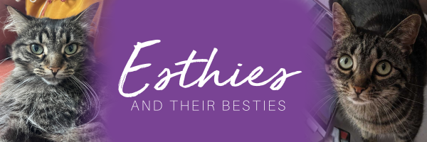 Esthies-Mar-19-2024-06-51-08-3060-PM