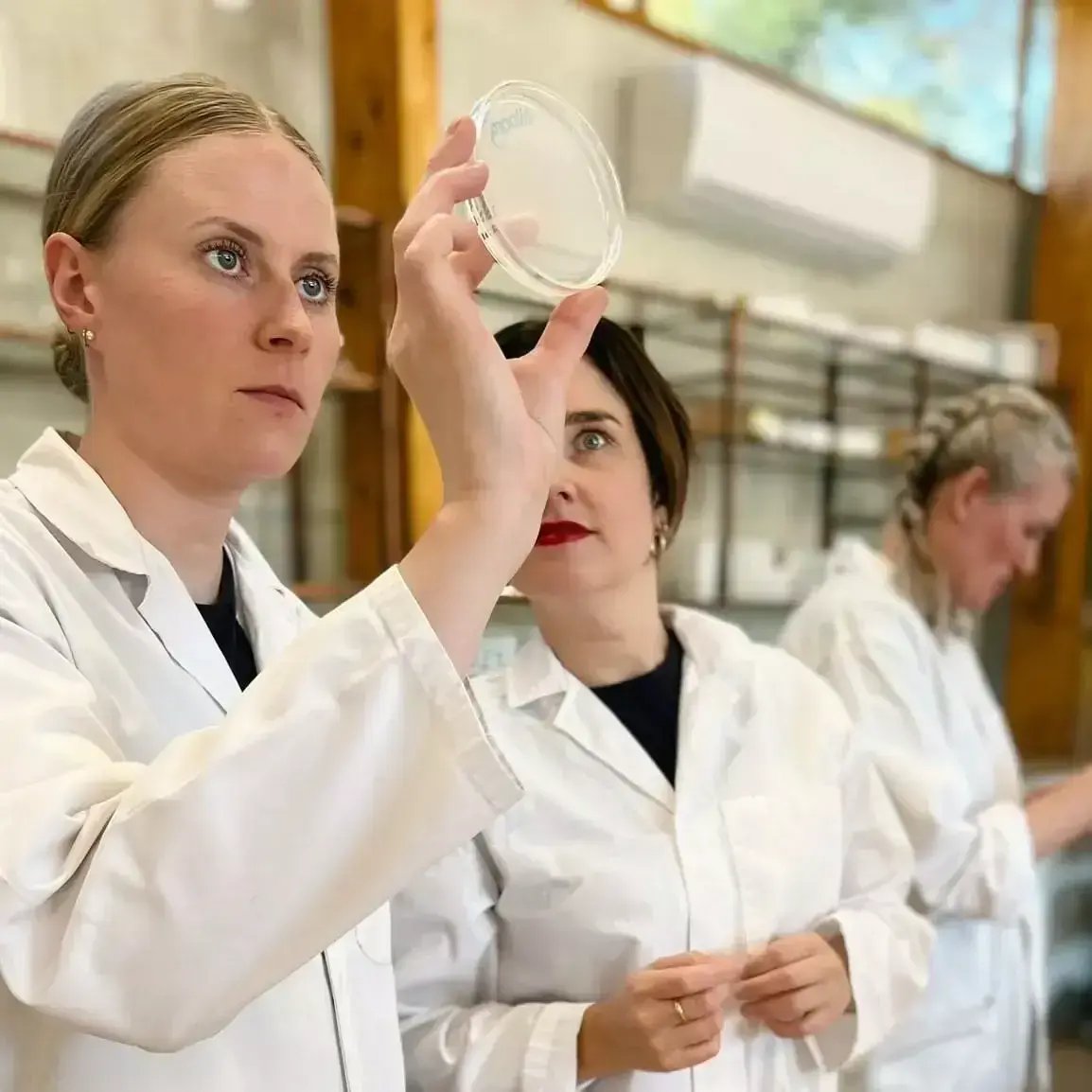 Microbiome-Course-nerolihudpleie-3-e1666260082121-1